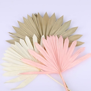 Feuilles de <span class=keywords><strong>palmier</strong></span> séchées naturelles, feuilles de <span class=keywords><strong>palmier</strong></span> en éventail séchées, 10 tiges de pampas et de <span class=keywords><strong>palmier</strong></span> séchés naturels pour la décoration bohème - Product Image 6