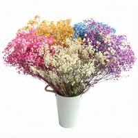Arche de mariage personnalisée en gypsophile séché, écologique et durable, toile de fond florale naturelle préservée, taille moyenne, pour Halloween