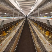 Cage en treillis métallique pour l'élevage de poulets de chair, entièrement automatique, de haute qualité, galvanisée à chaud, longue durée de vie, avec prix d'usine