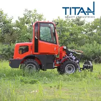 TL08 Pay Loader 800キロMini Loader 0.8t HofladerとCompetitive Price
