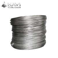 Fil de titane NAVI (depuis 2008) en promotion, Ti 99,6 Ti Gr1, fil de titane médical, fil de titane de 0,4 mm