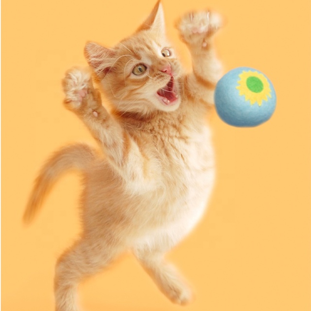 Pet Gift Plush Cat Toy Pet Toy Cat Toy Interactive Wool Ball Cat Pet Training