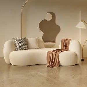 Nordic Lamb Fleece Simple Modern Curved Sofa Bed Designer Fabric Art Three Person Alien Living Room Small Unit Sofa