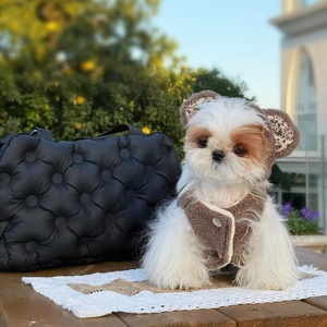 Borsa di Lusso per Animali Domestici, Trasportino Portatile 3 in 1 per Cani e Piccoli Animali, Borsa a Tracolla con Lati Morbidi - Product Image 6