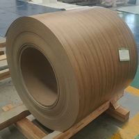 Bobine d'acier PPGI imprimée grain de bois 3D 0,45 mm DX51D, tôle d'acier galvanisé prépeinte pour décoration intérieure, garage, pliage et découpe