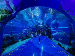 Vente directe d'usine grand <span class=keywords><strong>tunnel</strong></span> <span class=keywords><strong>sous</strong></span>-<span class=keywords><strong>marin</strong></span> d'aquarium acrylique écologique personnalisé planification d'ingénierie d'océanarium - Product Image 2