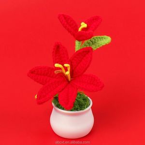 Maceta de Lirios de Ganchillo Hechos a Mano, Mini Plantas de Hilo Tejido para Decoración de Escritorio, para Graduación, Día del Padre, Decoraciones de Halloween - Product Image 4