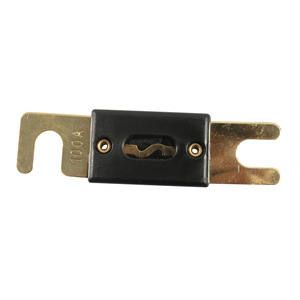 Lot de 5 fusibles plats ANL 100A pour voiture, véhicule, système audio-vidéo marin, plaqué or, type à borne axiale, à fusion rapide, non indicateur - Product Image 4