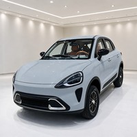 SUV Eléctrico de Lujo con Interior de Primera Clase, Mini EV Hatchback de 5 Plazas, Automático, con Batería de Litio, Vehículo Urbano para Pasajeros