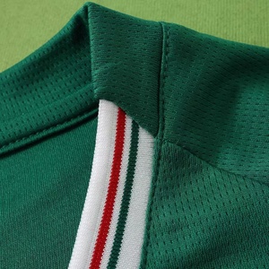 Camiseta de Fútbol Palmeiras 2026-27, Versión Aficionado, Calidad Tailandesa, Verde, <span class=keywords><strong>Copa</strong></span> Libertadores, Personalizable - Product Image 2