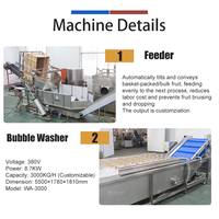 Fengxiang Grote Capaciteit RVS 304 Mango Verwerkingslijn Fruit Groenten Automatische Voedings- Was- en Blancheringsmachine 1