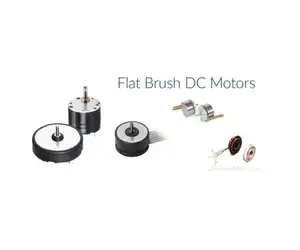 DC Micro Moteur Plat accueil Personnalisé du Fabricant 5V/12V/24V toute tension