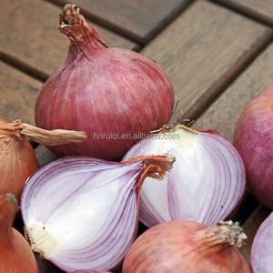 Groothandel Verse Gele Ui Grote Uien Grote Rode Uien Beschikbaar Voor Exportverkoop - Product Image 4
