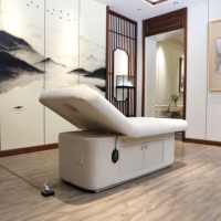 Table de massage électrique professionnelle pour salon de beauté, 1 à 4 moteurs, capacité de charge supérieure, dossier réglable, lit facial moderne pour spa
