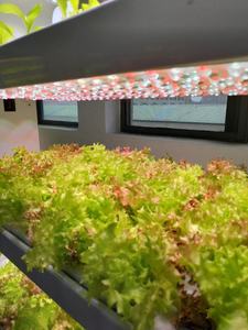 Système de culture hydroponique vertical intelligent New Home-Jardin de culture de fruits et légumes intelligent <span class=keywords><strong>d</strong></span>'<span class=keywords><strong>intérieur</strong></span> - Product Image 2