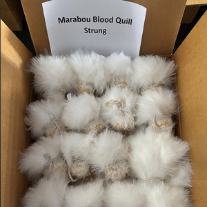Pluma <span class=keywords><strong>de</strong></span> Marabú <span class=keywords><strong>de</strong></span> <span class=keywords><strong>Pavo</strong></span> Teñida al por Mayor <span class=keywords><strong>de</strong></span> 3-4in/4-5in para Colas <span class=keywords><strong>de</strong></span> Streamer, Colas <span class=keywords><strong>de</strong></span> Nymph, Hackle <span class=keywords><strong>de</strong></span> Mosca y Envoltura <span class=keywords><strong>de</strong></span> Cuello - Product Image 5