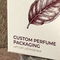 Boîte à parfum rigide de luxe blanche en deux parties avec couvercle relevable et insert ajusté, emballage cosmétique écologique pour parfums
