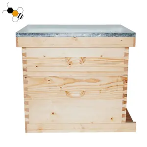 Ruches d'abeilles en bois de pin Ruche d'apiculture Ruche Langstroth