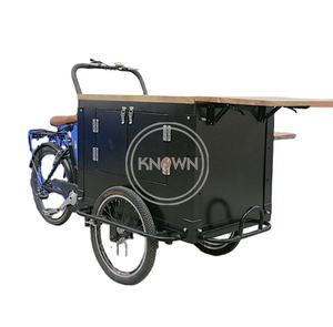 2025 tricycles électriques puissant 3 roues adulte vélo chariot de nourriture fabricant rue chariot de nourriture à vendre - Product Image 1