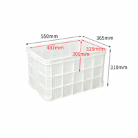 Conteneurs en plastique PP de haute qualité 550x365x310mm, paniers à légumes empilables, écologiques, durables, boîtes de logistique