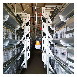 Système de cage à batterie Zhuo Yi H-Type 4/5/6 niveaux <span class=keywords><strong>en</strong></span> vinyle, durée de vie 25 ans, capacité 20000 œufs, pour élevages commerciaux, faible taux de bris d'œufs - Product Image 2