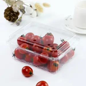 500 g durchsichtige Fruchtverpackungsbox aus PET-Kunststoff Blister PET-Clamshell-Trocknopf-Lebensmittelbehälter mit Schindeldeckel Erdbeeren-Schachtel