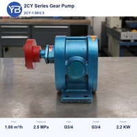 Pompe à engrenages haute pression 2CY 1.08 2.5 Mpa 18 LPM pour huile de transfert thermique sans moteur pour couplage OEM