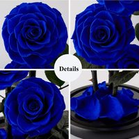 Tige de véritable fleur bleue avec décor de verre, 1 pièce, prix d'usine, Roses éternelles stabilisées