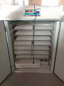 Incubadora Automática de Huevos 1232 con Alta Tasa de Eclosión para Uso Agrícola para Emúes, Gansos, Avestruces y Pavos - Product Image 4