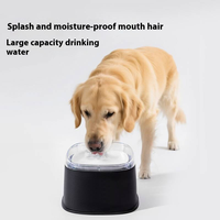 Bol à eau solide anti-fuite écologique de 2000 ml, carré, en PP+PC, fontaine à eau pour chien et chat, pour l'intérieur, l'extérieur et les voyages