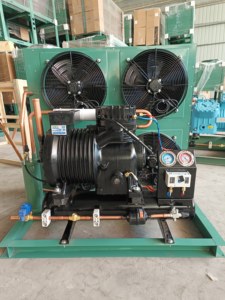 Unidad Condensadora Tipo H de 5HP, 6HP, 8HP, 10HP, 12HP, 380V, Motor Fusheng de Ahorro Energético para Refrigeración de Cámaras Frigoríficas - Product Image 5