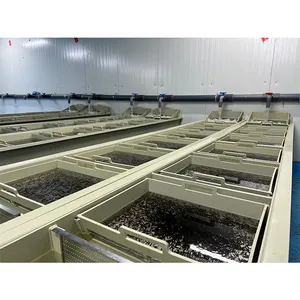 Fish Incubator Hatchery/Hatchery Fish Egg Incubator/Fish Hatching