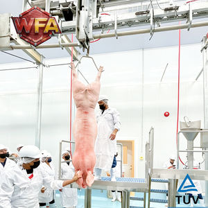 Machine de lignée d'abattage de porcs, équipement d'abattoir pour truies, machinerie d'abattage de porc pour abattoir porcin - Product Image 1