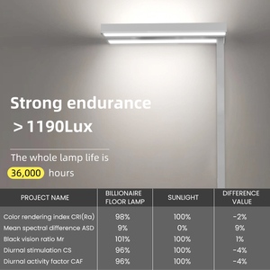 Lampada da Terra LED Moderna per Soggiorno, Ufficio, Decorazione, Lampada OLED, Stehleuchte, Lampada da Ufficio, Lampada per Terapia Luminosa, Stile Europeo - Product Image 2