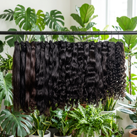 Lots de Cheveux Bouclés Birmans Bruts, Cheveux Humains Vierges Vietnamiens Bruts, Cheveux Alignés Cuticule, Vente en Gros de Cheveux Bouclés Indiens Bruts