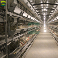 Cage à volaille automatique de type H avec système d'élimination du fumier abreuvoir et mangeoire pour poules pondeuses et poulets de chair État neuf