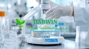 Rebaudiana de Stevia <span class=keywords><strong>Bertoni</strong></span> - Product Image 5