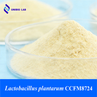 Poudre probiotique Lactobacillus Plantarum CCFM8724 pour la santé bucco-dentaire, les soins dentaires et l'équilibre de la flore féminine, matériau de souche clinique