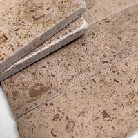 Carrelage de sol extérieur en pierre naturelle beige lime brique chez l'habitant pour cour, carreaux muraux de fond pour espace commercial