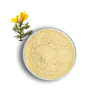Estratto di Sophora Japonica Genisteina in Polvere Grado Alimentare Confezione in Fusto 98% Fornitore all'Ingrosso 446-72-0 Integratore Nutrizionale per Sport - Product Image 1