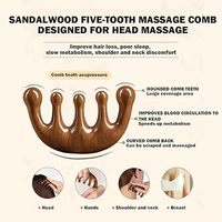 Peigne de Massage du Cuir Chevelu en Bois Personnalisable avec Logo, Masseur de Tête Gua Sha en Bois de Santal pour la Croissance des Cheveux Femmes Hommes
