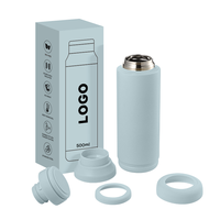Bouteille d'eau écologique 2026 en promotion avec poignée et infuseur à thé, logo personnalisé, 500 ml