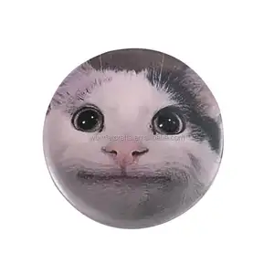 WD Custom Engraçado Moda Metal Memes Sad Cat Badge Animação Bonito Animal Broche Tinplate Soft Button Badge Pins para crianças