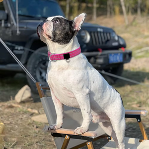 Collares de nailon rosa para perros, suaves y duraderos, ajustables, diseño ligero, hebilla segura, perfectos para perros pequeños y grandes - Product Image 5