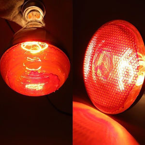 250 Watts Infrarouge Lumière Blanche Chaleur <span class=keywords><strong>Lampe</strong></span> Ampoule Corps En Verre pour Service Alimentaire <span class=keywords><strong>Luminothérapie</strong></span> et Logement de Volaille Croissance Améliorée - Product Image 3