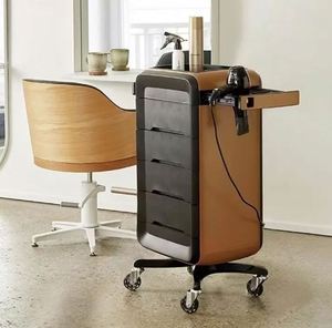 Top Selling Modern Design Metal Beauty Salon <b>Trolley</b> for Hair and Furniture in Living Room or Bathroom - Product Image 4