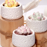 Diffuseur d'huiles essentielles en pierre parfumée pour plantes succulentes en pot, décoration d'intérieur longue durée pour chambre à coucher