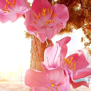 Khổng lồ handmade EVA <span class=keywords><strong>Cherry</strong></span> hoa thẩm mỹ phòng trang trí ngoài trời Nhiếp ảnh Backdrop cửa sổ hiển thị sắp xếp phụ kiện - Product Image 2