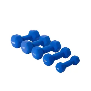 Factory Wholesale Supply Plastic Dipping Dumbbell Sets And Commercial Use Neoprene Coated Dumbbells