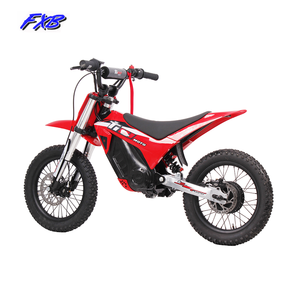 <span class=keywords><strong>Bicicleta</strong></span> Eléctrica Plegable con Motor Trasero de 1000W, Scooter Todoterreno, Motocicleta Eléctrica, Triciclo - Product Image 1